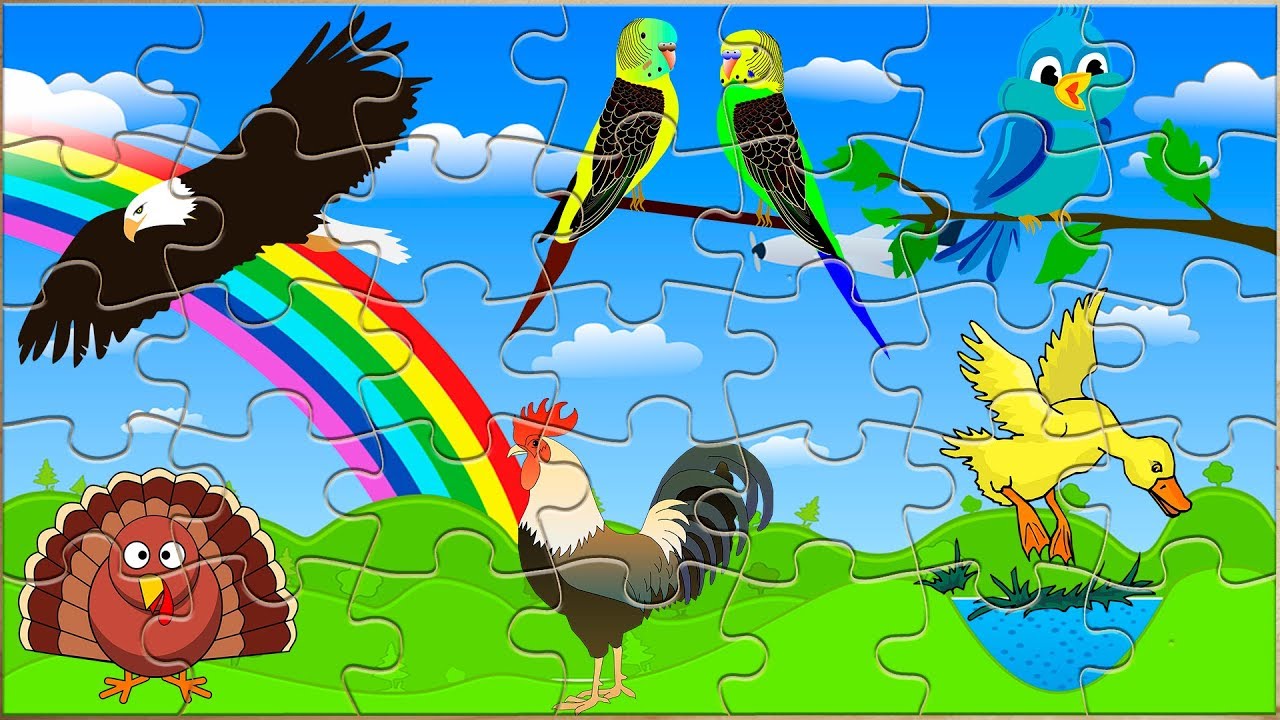 rompecabezas de aves