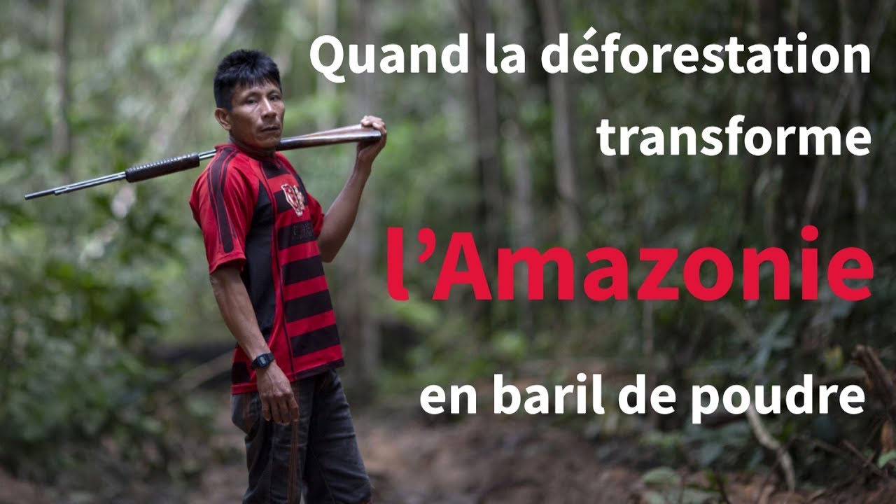 Comment La Deforestation A Transforme L Amazonie En Baril De Poudre Afp Reportage Youtube