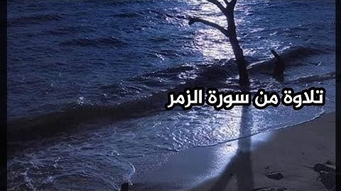 تلاوة من سورة الزمر | لكن الذين اتقوا ربهم لهم غرف..| #عبدالملك_العلي_أبويعقوب