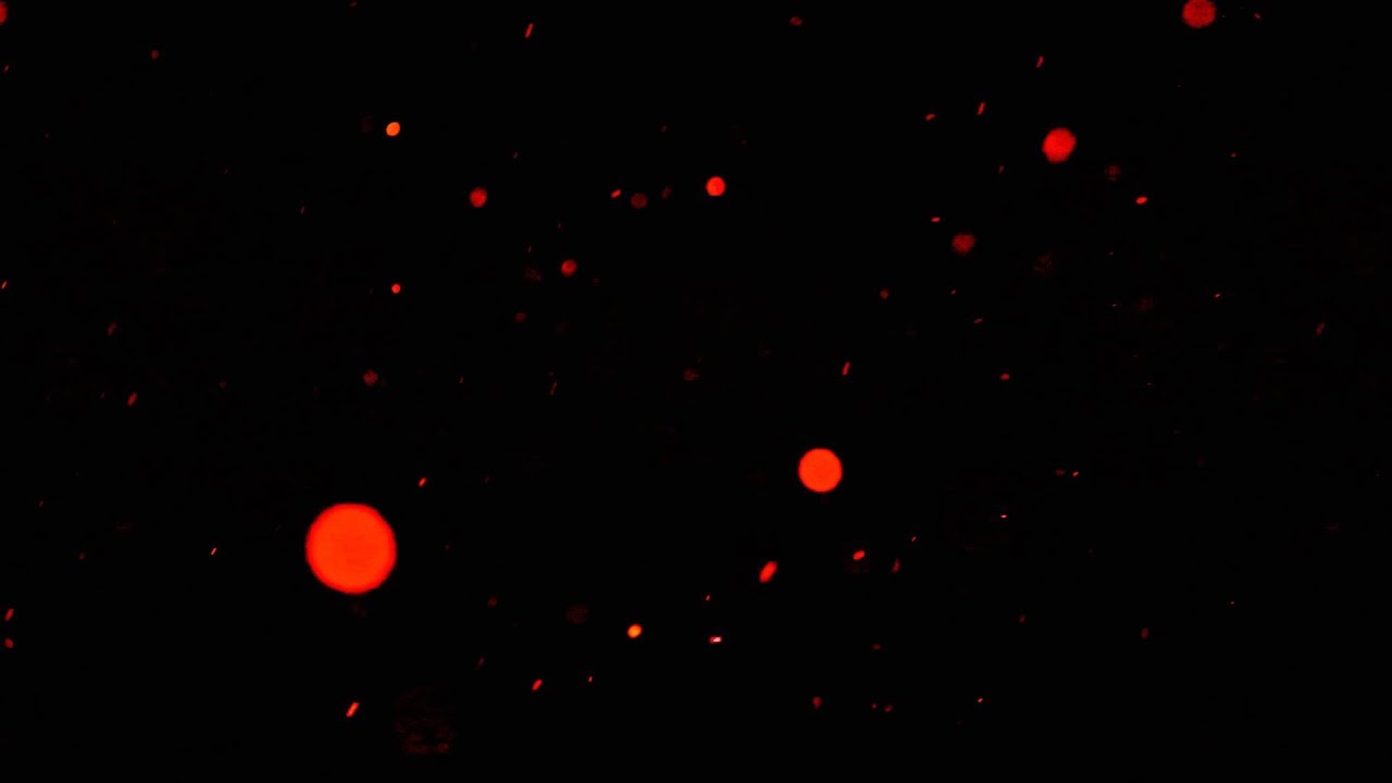 Smooth red dust particles background free fullHD VFX