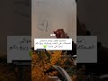 عبارات جميلة مع موسيقى حزينه هادئة - ستوريات انستا - خواطر تفائل - عبارات مع موسيقى تركيه حزينه🌸