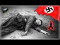 Hitler’s DE4TH from the Perspective of the Allies, Axis, and USSR