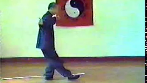Peter Yang -- Tai Chi 1 - 12