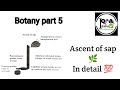 Ascent of sap by plants ☘️. In detail 💯🔥