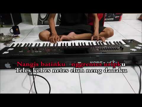 Cover Pamer Bojo Karaoke Dangdut Koplo Instrument Keyboard No Vokal