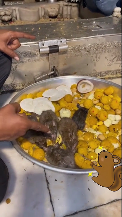 iki konsep e piye jane