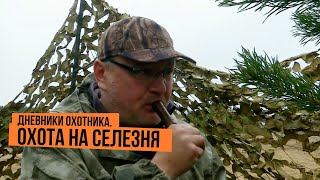 Охота на селезня \ Дневники охотника