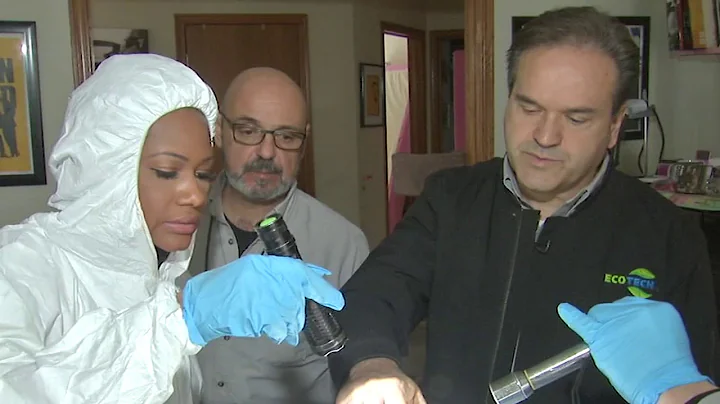 How to avoid bringing bed bugs home from spring break