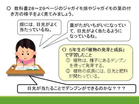 小６理科 大日本 植物の成長と日光の関わり Youtube