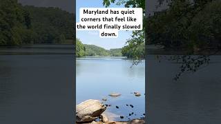 A Peaceful Escape in Maryland 🌿 | Lake Needwood #maryland #nature #shorts