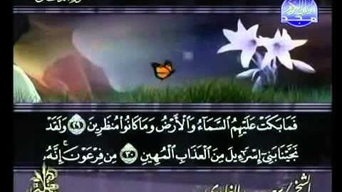 ختمة الشيخ سعد الغامدي 44 سورة الدخان