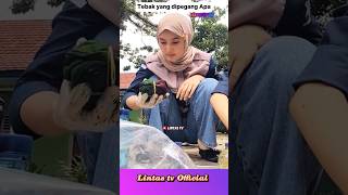 Jalan tak ada yang Tau #shorts #short #lintastv