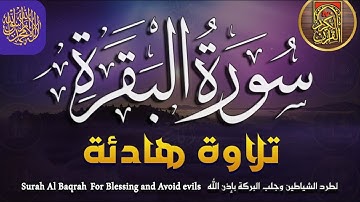 سورة البقرة - القارئ أحمد الشلبي - تلاوة خاشعة