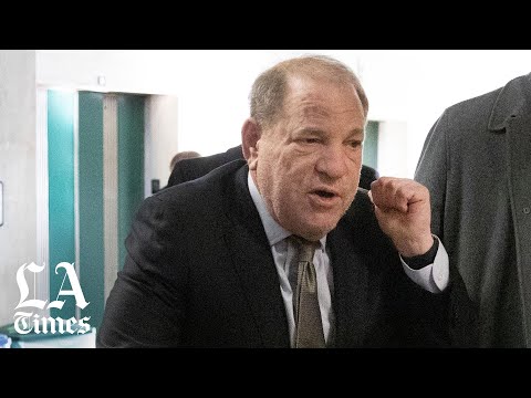 Video: Harvey Weinstein neto vērtība: Wiki, precējies, ģimene, kāzas, alga, brāļi un māsas