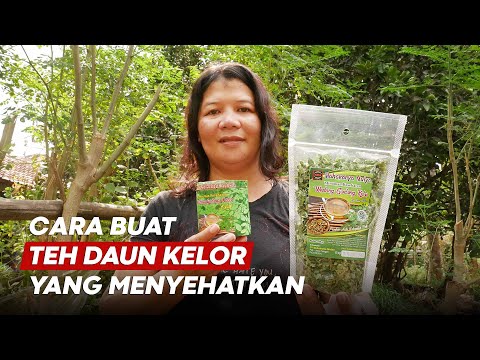 Cara Buat Teh Daun Kelor Yang Benar