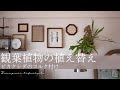 【vol.6】元インテリアショップ店員による観葉植物の植え替え／ビカクシダコルク付け／北欧インテリア