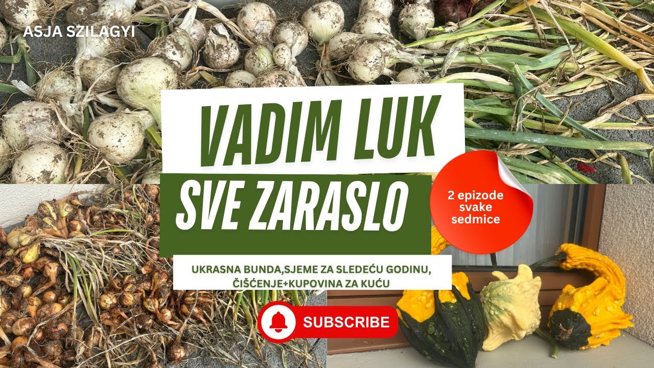 Vadim 5 sorti luka+sjeme za sledeću godinu+ukrasne bunde 🎃,čistim i pokazujem šta sam kupila za kuću