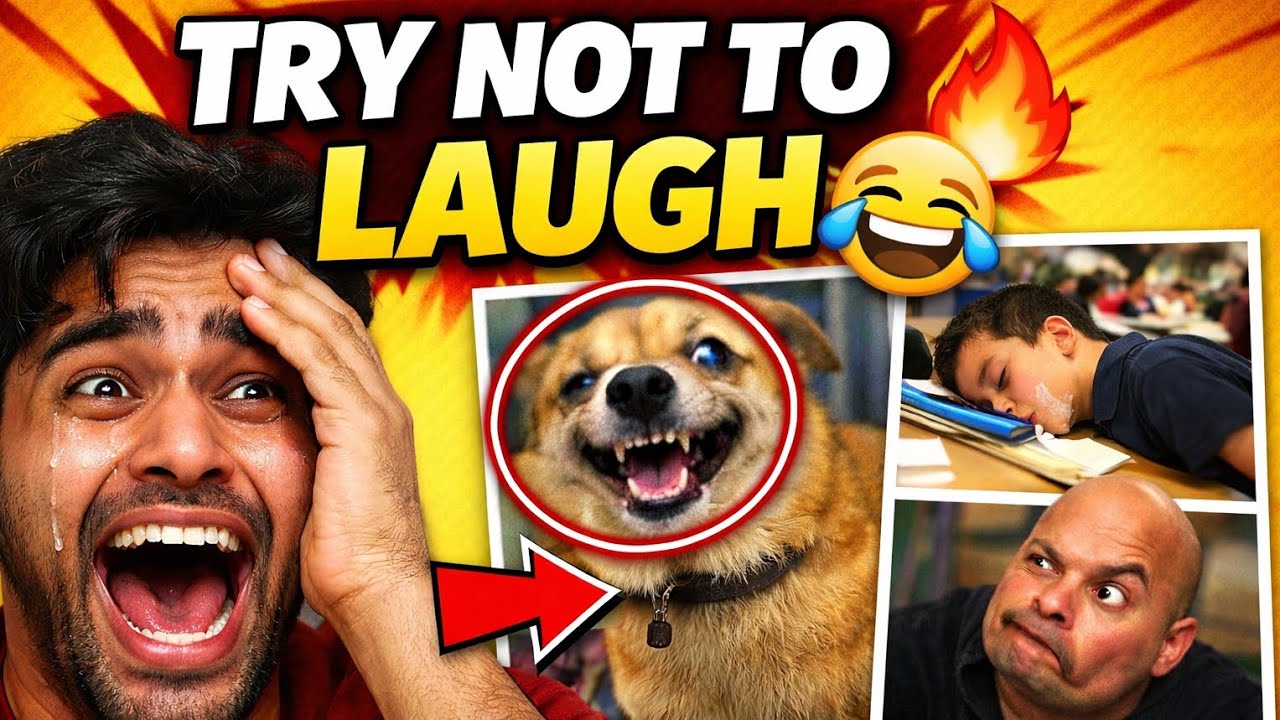 TRY NOT TO LAUGH CHALLENGE 😂 | 99% लोग FAIL 🤯 Funny Memes Compilation ...