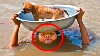 🏆 30 moments of emotional animal rescue in 2023 by KHÔNG GIỚI HẠN NEW 5,215 views 4 months ago 11 minutes, 34 seconds