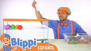 Hundir o Flotar | Aprende con Blippi | Videos educativos para niños