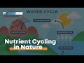 Nutrient Cycling And Its Role In Ecosystems