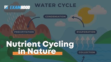 NUTRIENT CYCLING IN NATURE