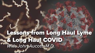 Lessons from Long Haul Lyme & Long Haul COVID | Johns Hopkins Rheumatology