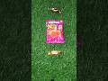 Satmola Mister Anar Dana #chocolate #asmr #toyswala #asmr #food #candy #satisfying