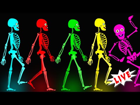 🔴-midnight-magic---five-crazy-skeletons-funny-musical-spooky-dance-songs-for-kids-|-live