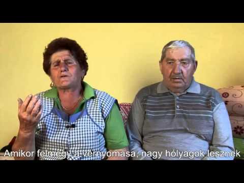 Videó: Ciprus (67 Fotó): Lucfenyő Gondozása Otthon. Az újév és A Borsóciprus, A Thuose és Más Fajok és Fajták Jellemzői