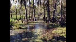 Amos Moses - Jerry Reed