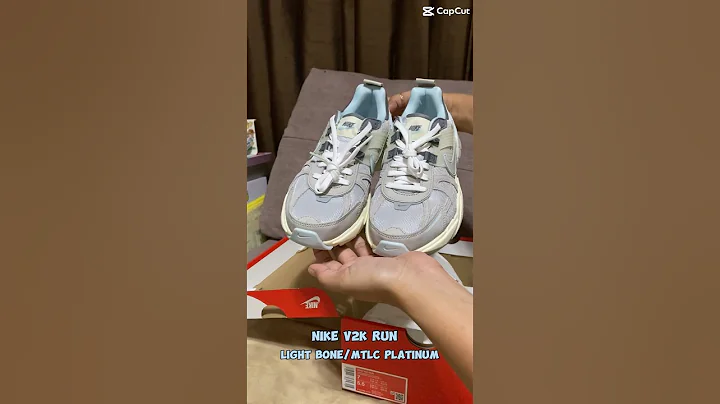 NIKE V2K RUN Light Bone/MTLC Platinum