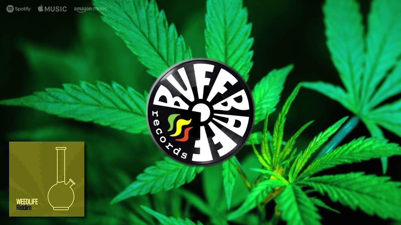 Feel THAT Reggae Vibe - Weedlife Riddim 2023