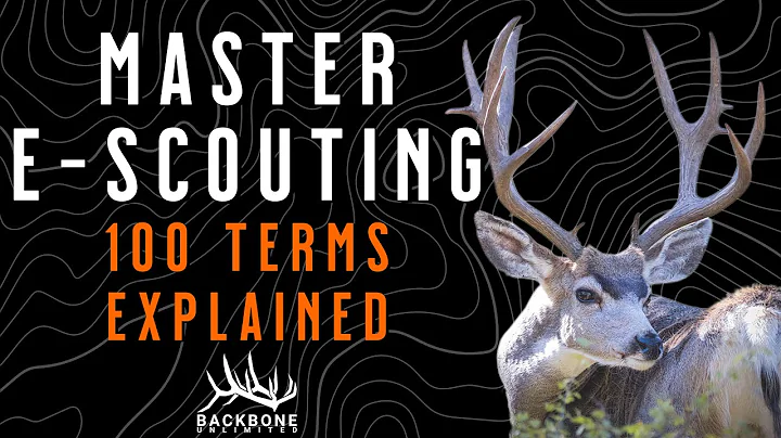 100 E-SCOUTING TERMS Every Elk & Mule Deer Hunter Must Know (Full Visual Guide)