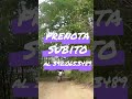 Strade Sterrate #adventuremotorcycle #endurotime