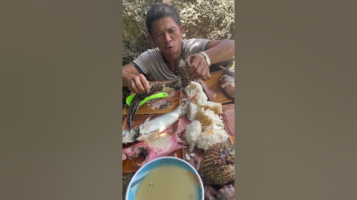Grilled Seafood Mukbang Feast: Fish, Eel, Porcupine Fish & Shrimp 🌊🔥 | Ocean-to-Table Bites