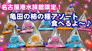 【おせんべい大好き】名古屋港水族館限定！柿の種食べるよ～［#40］