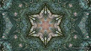 Kaleidoscope - Summer Green Gaze and Tchaikovsky Overture 1812 (excerpt).