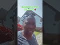 #youtubeseo #runner #cooking #youtubeshorts #walking #youtubealgorithms #fast #subscribe #motivation