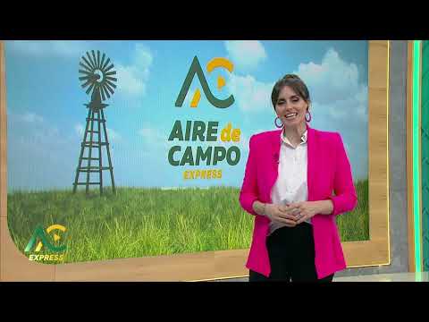 Córdoba and Santa Fe: A Demonstration of Regional Integration - Aire De Campo Express