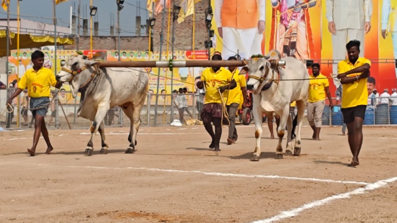 పల్నాడు జిల్లా చిలకలూరిపేట గ్రామం 2 పల్ల విభాగం 7వ జత