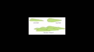Drumlins 2