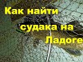 Ответы подписчикам. Как найти судака на Ладоге.