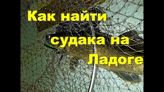 Ответы подписчикам. Как найти судака на Ладоге.