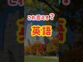 【3つ言えたら合格!】ネイティブが毎日使う簡単なひとこと英会話100選【76〜80】