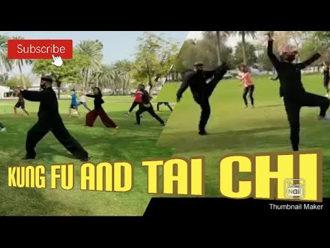 TAI CHI AT AL SAFA PARK DUBAI