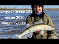 Рыбалка в Астрахани, весна 2020. САМОИЗОЛЯЦИЯ НА РЕКЕ! Ловля судака в Никольском. Часть 2