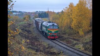 Тепловоз М62-1301 с составом из хопперов / Diesel locomotive M62-1301 with a hopper wagons train.