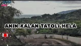 ANIN KALAN TATOLI HELA || Timor leste || lirik music officiall