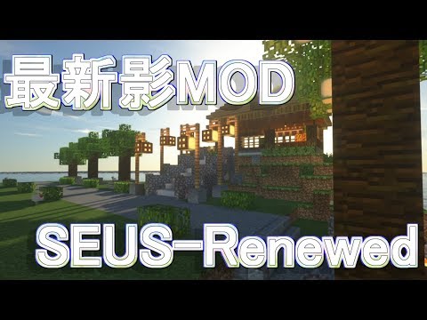 Seus Renewed 1 0 0設定